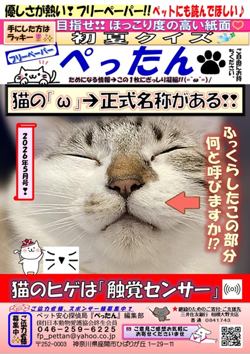 　ぺったん